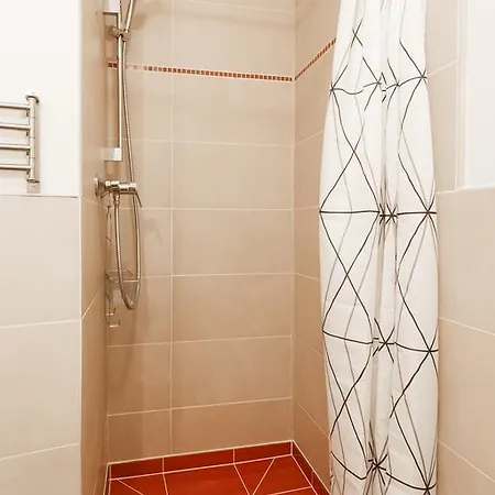 Luxurious Loft At Zizkov דירה *