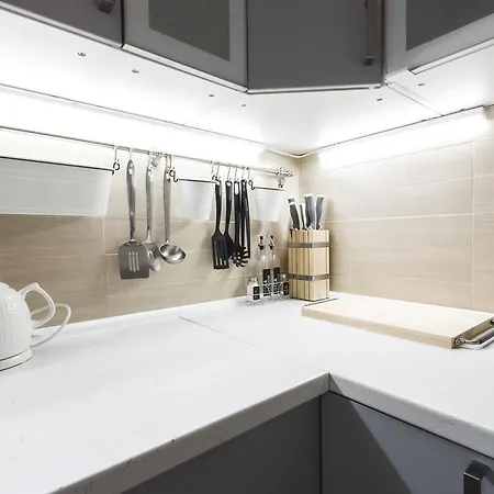 Luxurious Loft At Zizkov דירה