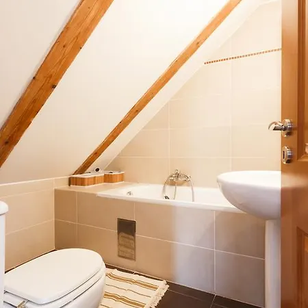 公寓 Luxurious Loft At Zizkov 布拉格