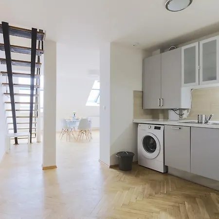 公寓 Luxurious Loft At Zizkov 布拉格