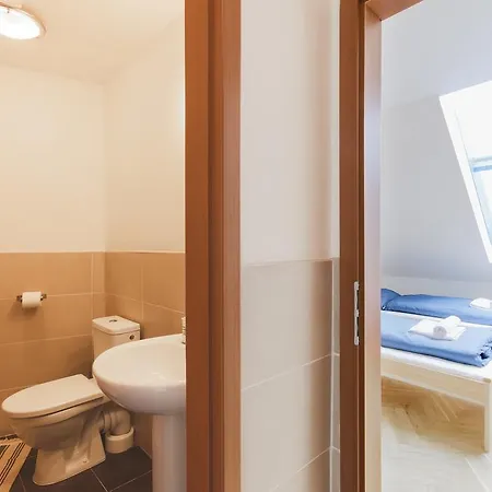 Luxurious Loft At Zizkov