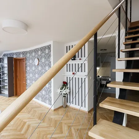 Luxurious Loft At Zizkov