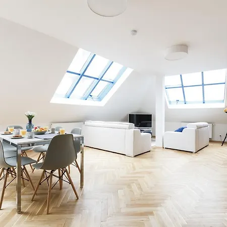 公寓 Luxurious Loft At Zizkov 布拉格